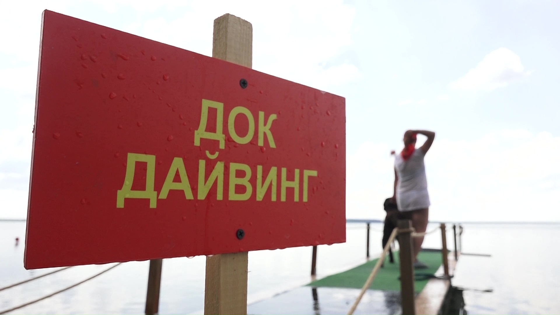 Курорт для питомца: лагерь отдыха для собак открылся в Челябинской области