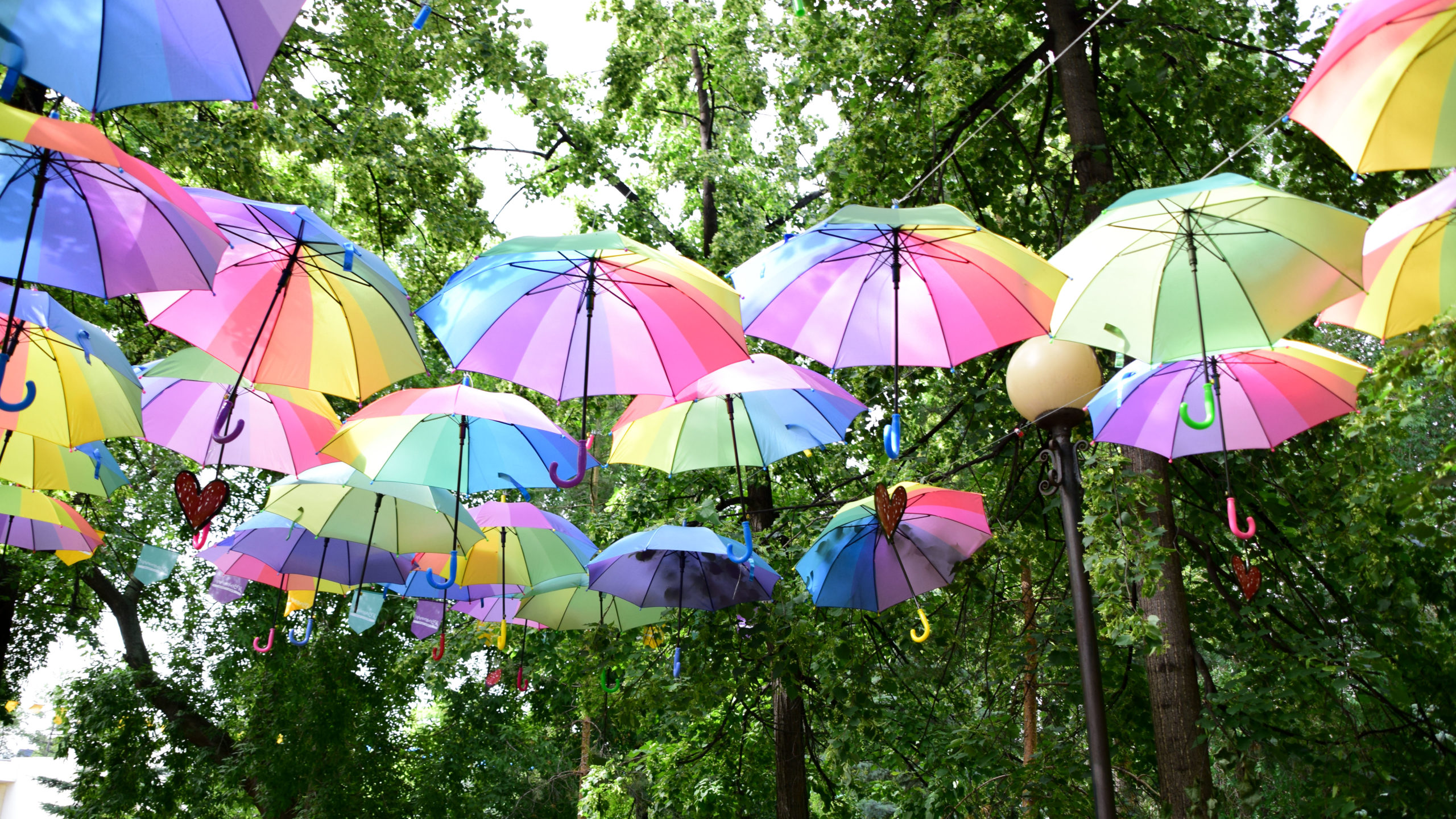 Идет жара: синоптики предупредили о повышении температуры на Южном Урале