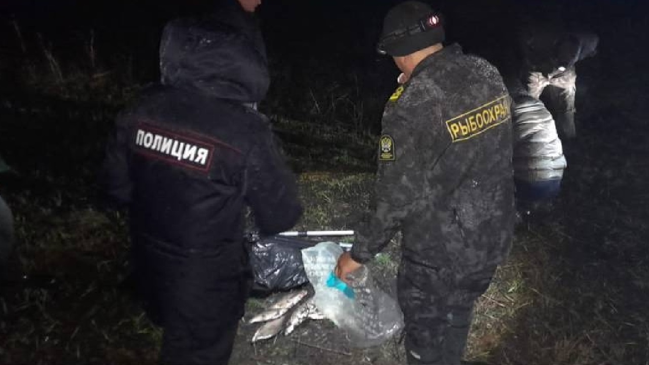 Рыбалка вне закона: браконьеров задержали в Челябинской области