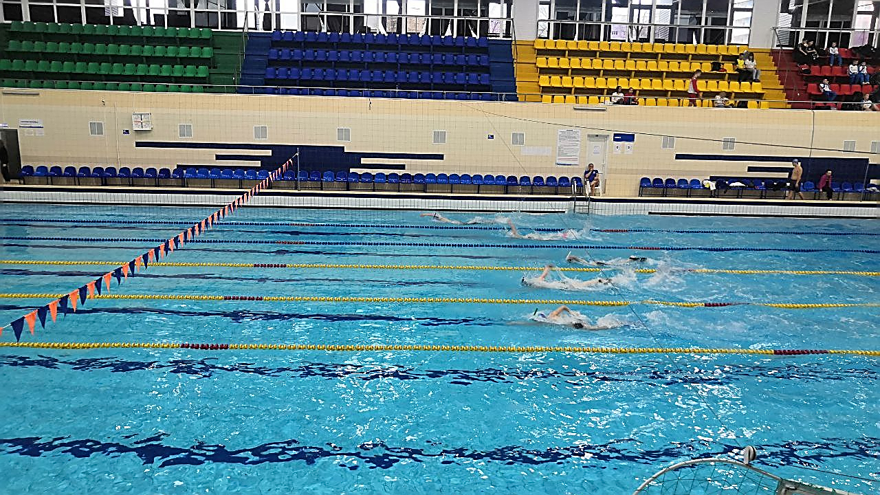 В топе – волейбол: какие виды спорта выбирают жители Челябинска В топе – волейбол: какие виды спорта выбирают жители Челябинска