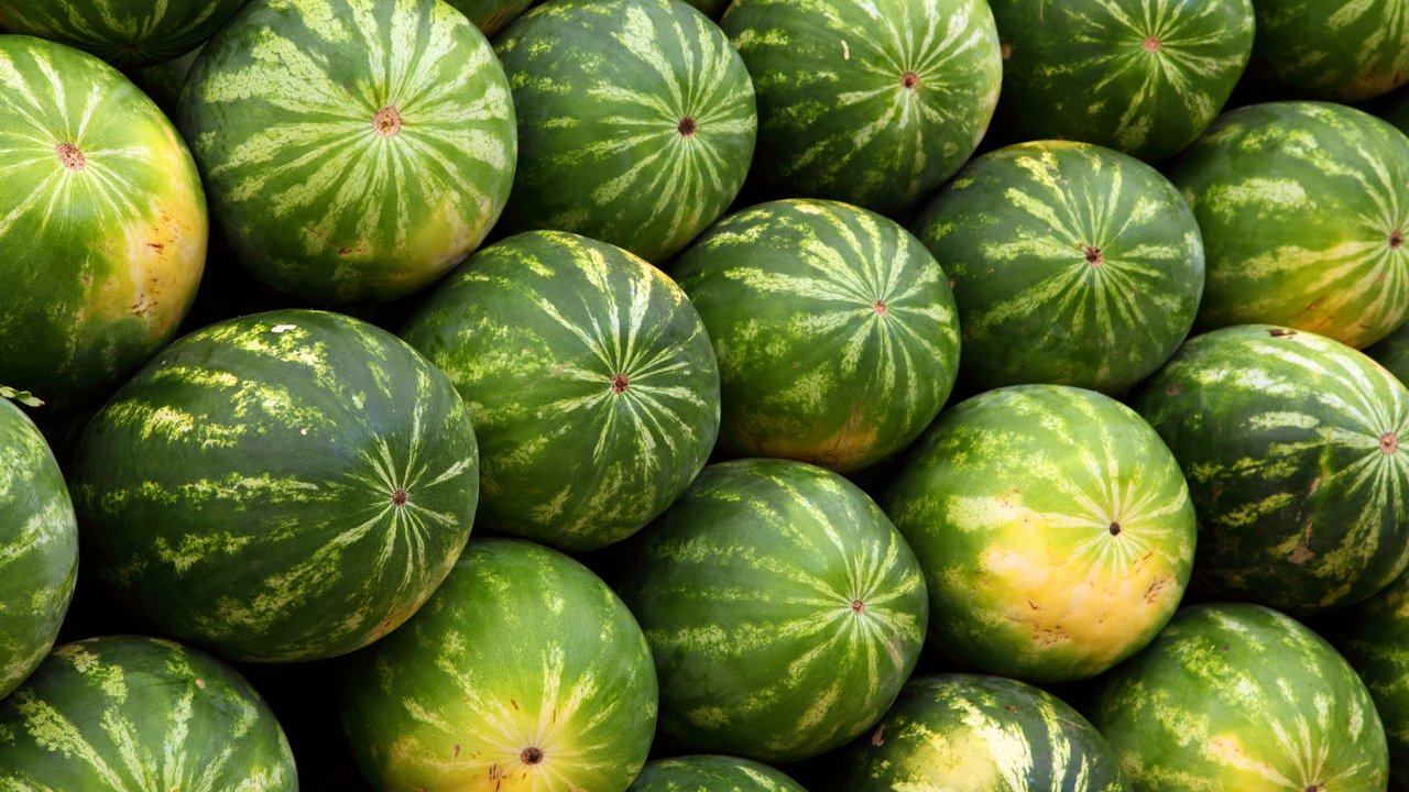 Витамины и химикаты: насколько полезны и вредны арбузы и дыни Витамины и химикаты: насколько полезны и вредны арбузы и дыни