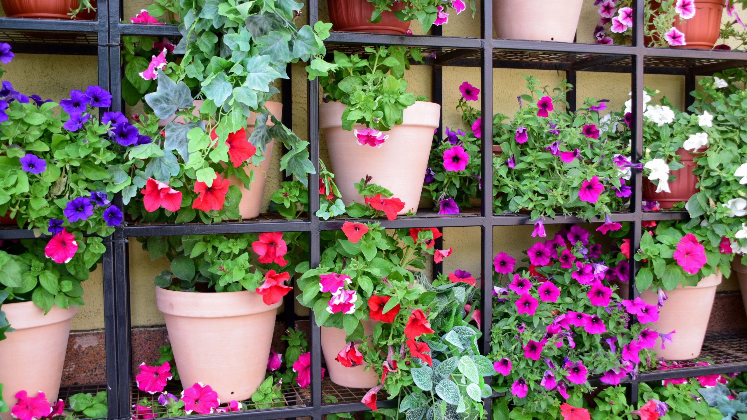 Жара и сильный ветер: синоптики предупредили о переменчивой погоде в Челябинске  