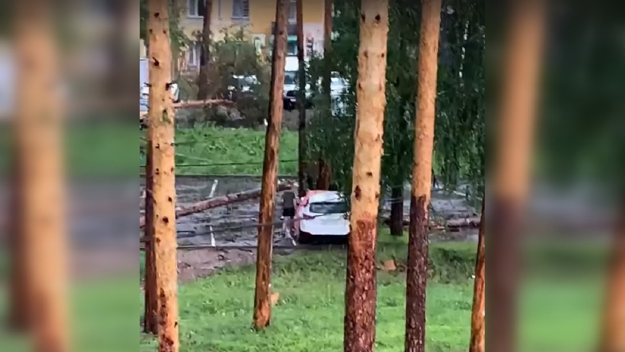В Челябинской области упавшее из-за шторма дерево смяло машину ВИДЕО