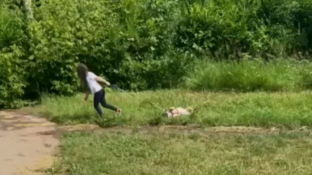 Волокла на поводке: издевательства ребенка над собакой шокировали южноуральцев