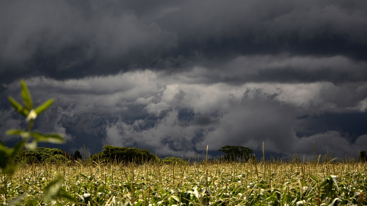 Жара и грозы: о погодной аномалии в Челябинской области рассказали синоптики Жара и грозы: о погодной аномалии в Челябинской области рассказали синоптики