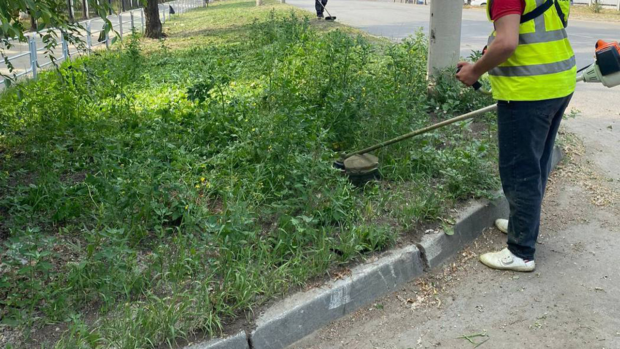 Заросли зелени: в Челябинске проверяют, как косят траву во дворах