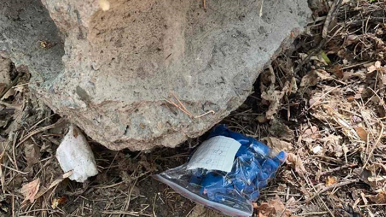 У жительницы Челябинской области нашли 100 свертков с наркотиками