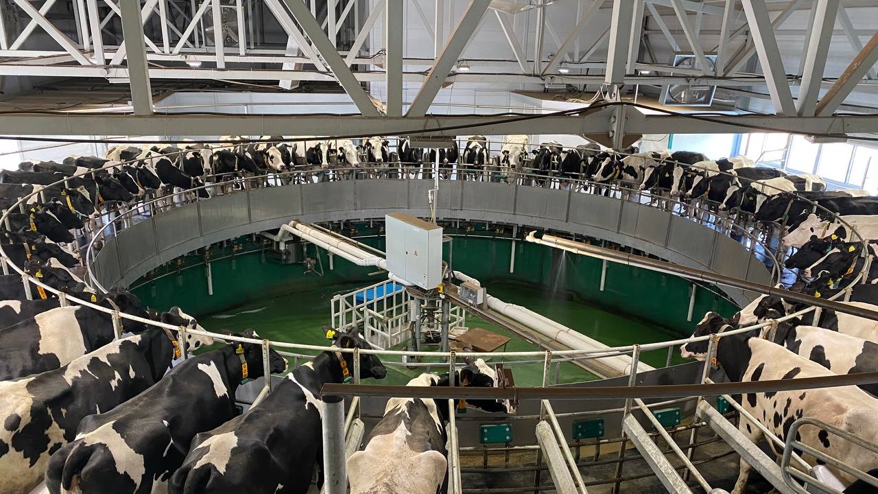 Стоит ли южноуральцам опасаться дефицита хлеба, рассказали аграрии 