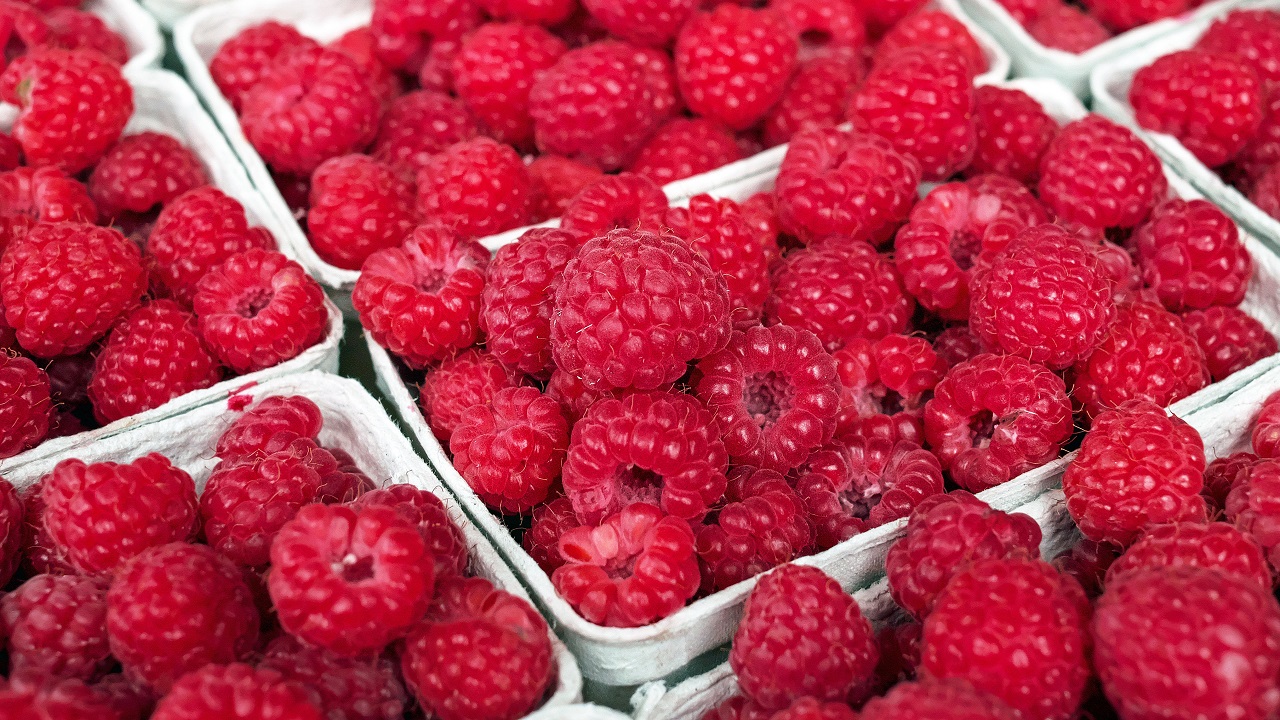 Как не отравиться ягодами и фруктами, рассказали эксперты из Челябинска