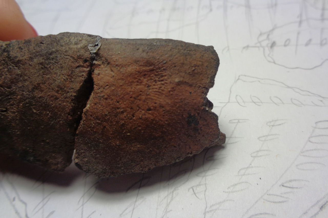 Древние орудия и фрагменты сосуда с отпечатками пальцев нашли на Урале