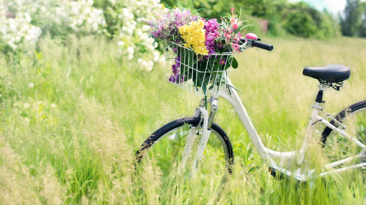 Семейный велопарад проведут в Челябинске