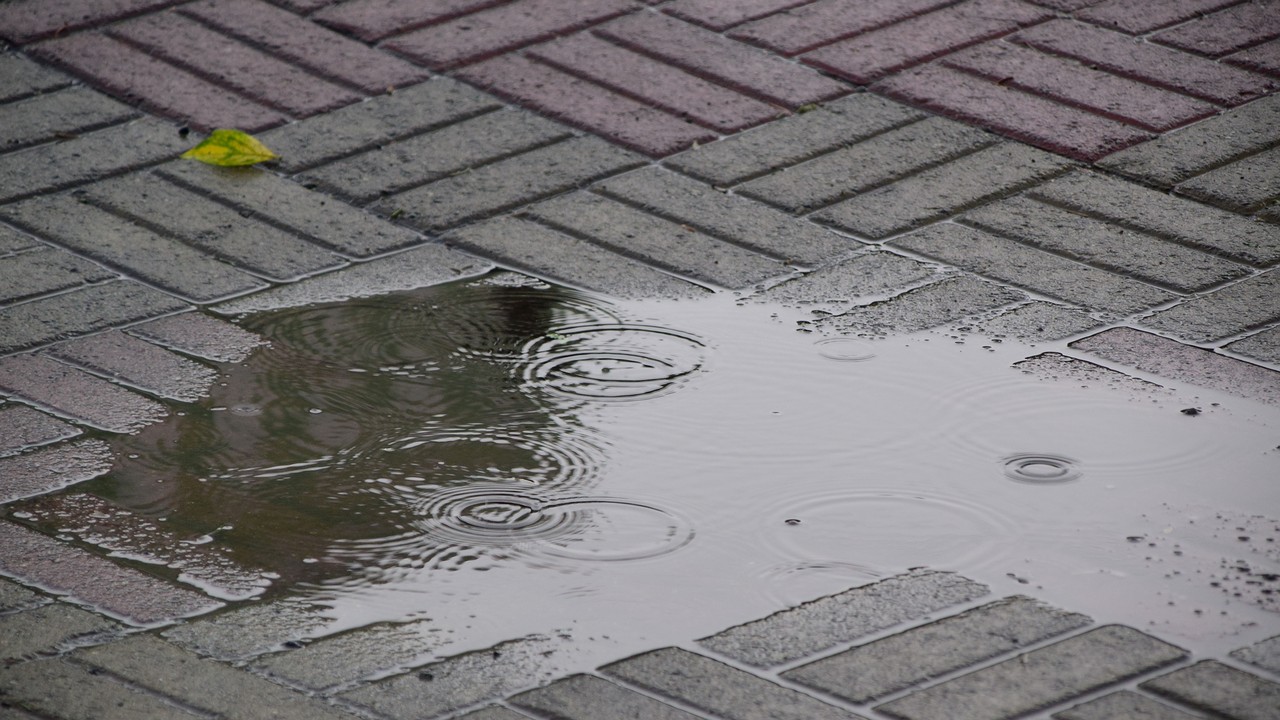 Порывистый ветер и грозы прогнозируют в Челябинской области