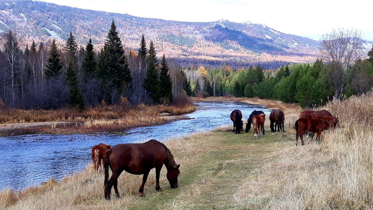 Путешествие на Зигальгу: маршрут сквозь времена и расстояния ФОТО: ГТРК "Южный Урал"