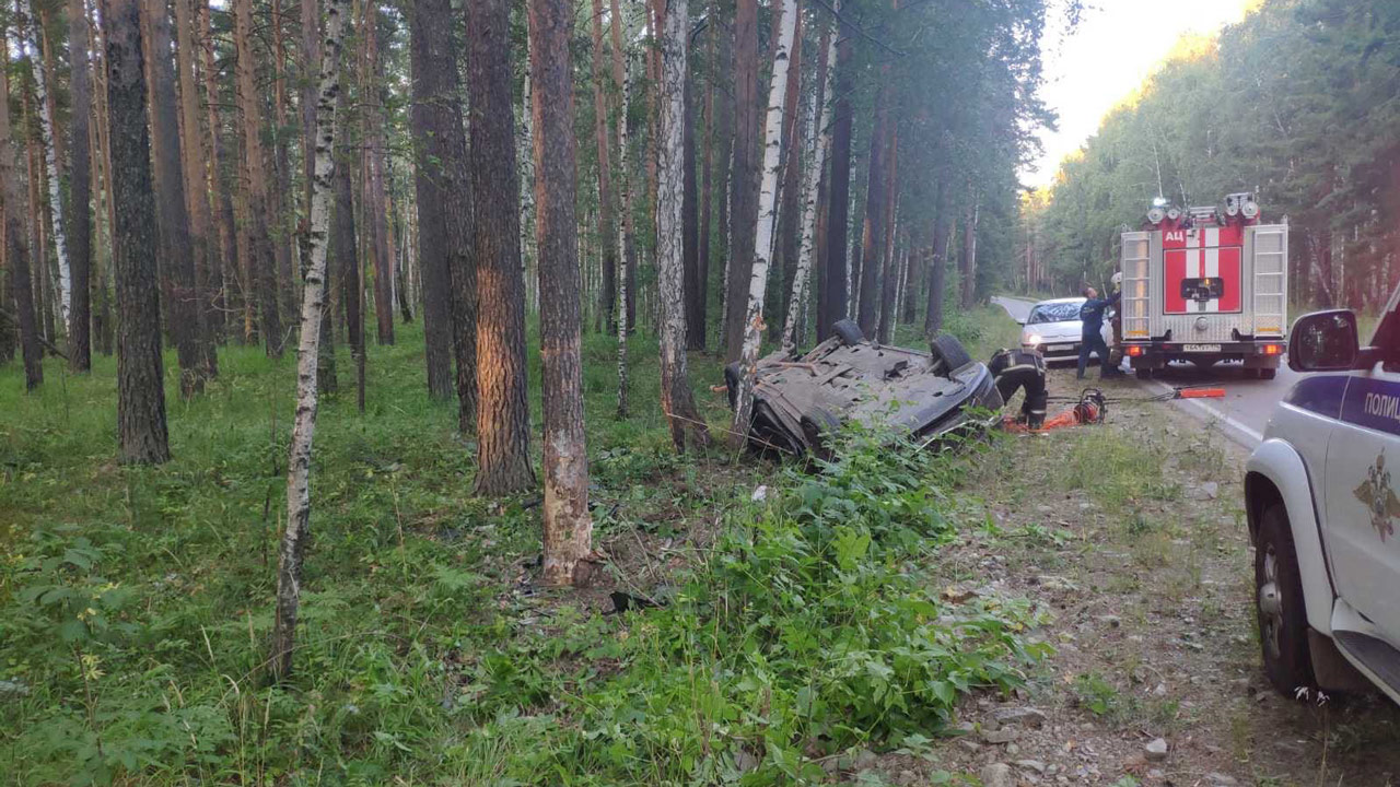 Иномарка врезалась в дерево и перевернулась в Челябинской области, есть погибший