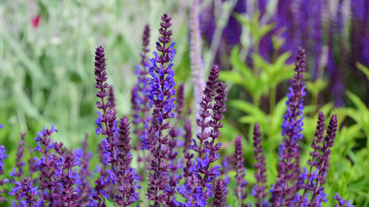 Крупные промышленники Челябинской области помогут заповедникам