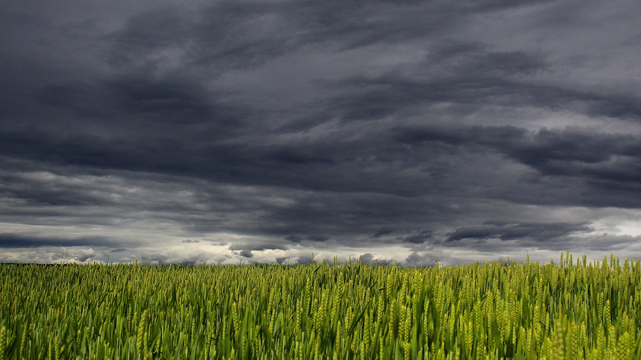 До +2 градусов: в Челябинской области ожидается резкий перепад температуры