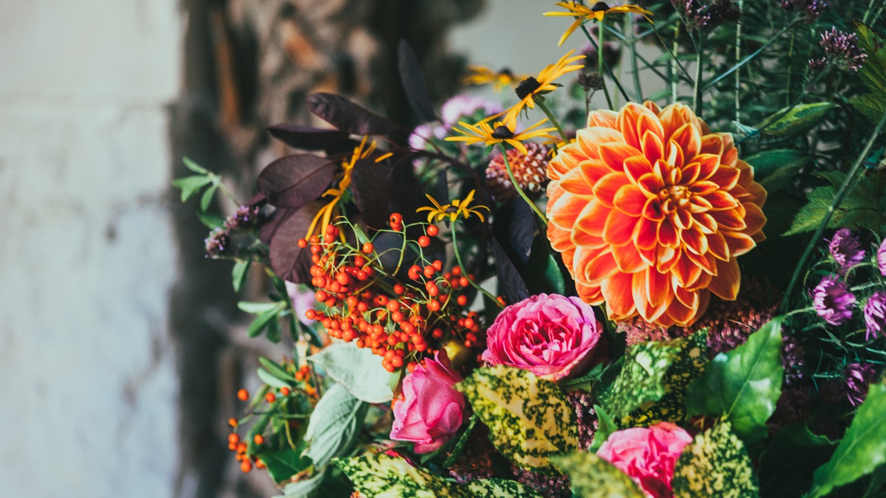 Дети вместо цветов: в Челябинске предлагают сэкономить на букетах к 1 сентября Дети вместо цветов: в Челябинске предлагают сэкономить на букетах к 1 сентября