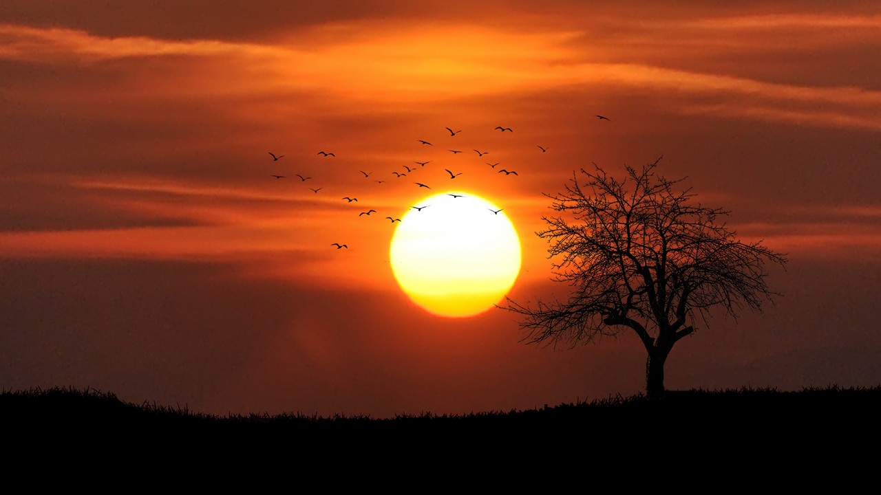 Жара выходит на пик в Челябинской области