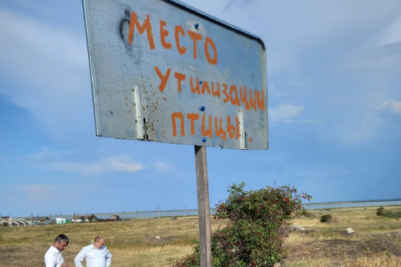 В Челябинской области зарегистрировали вспышку птичьего гриппа