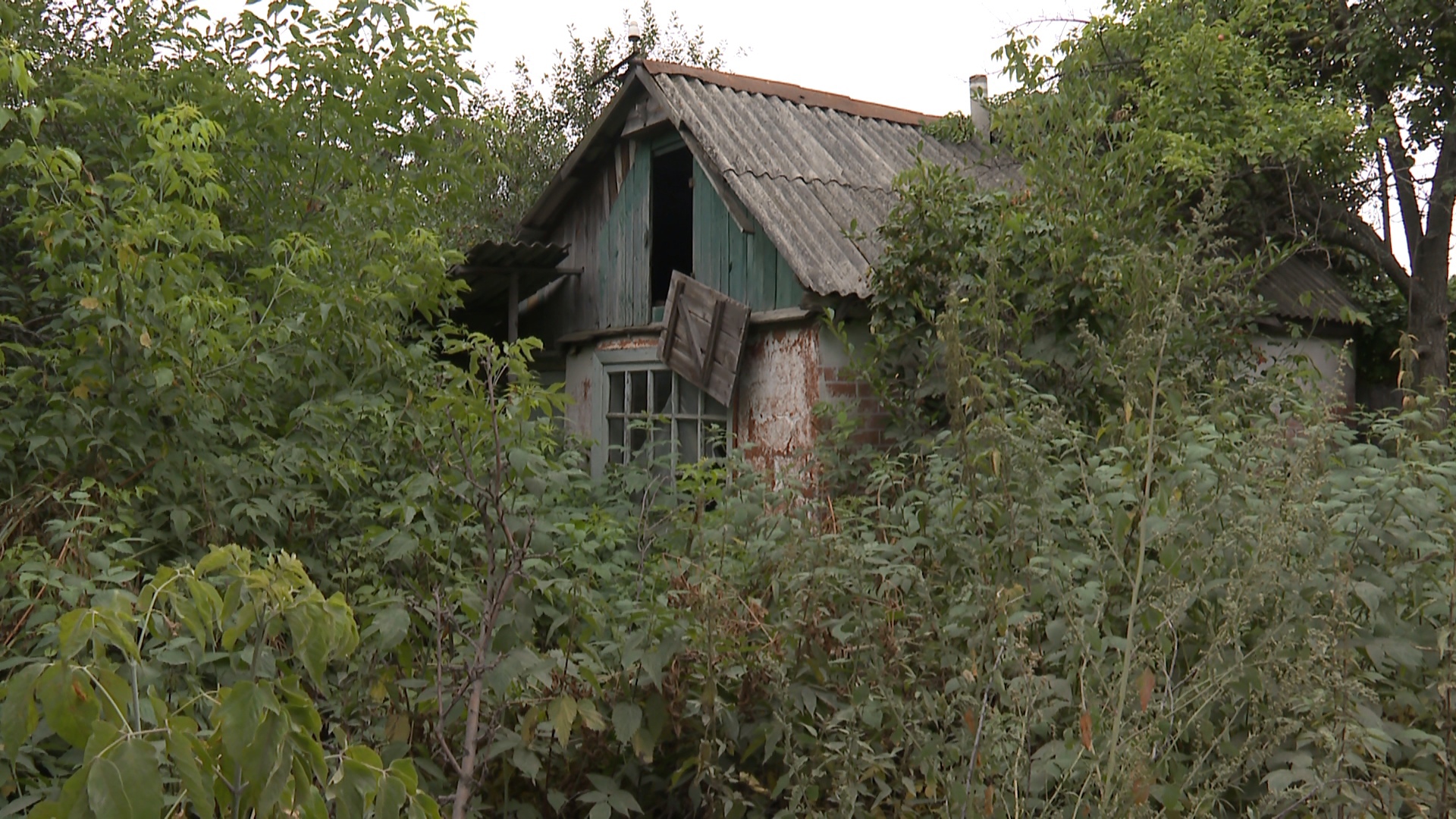 Заброшенные садовые участки в Челябинске хотят сдавать в аренду 