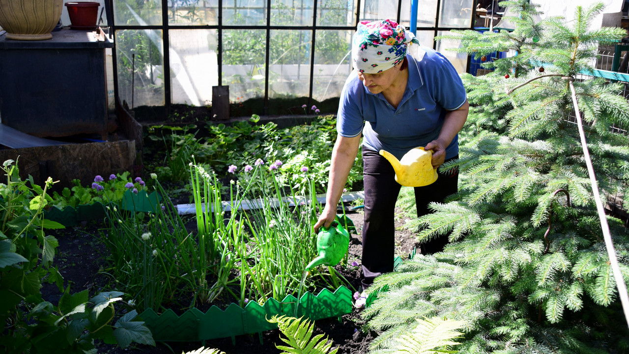 Бесхозные сады в Челябинске начнут сдавать в аренду