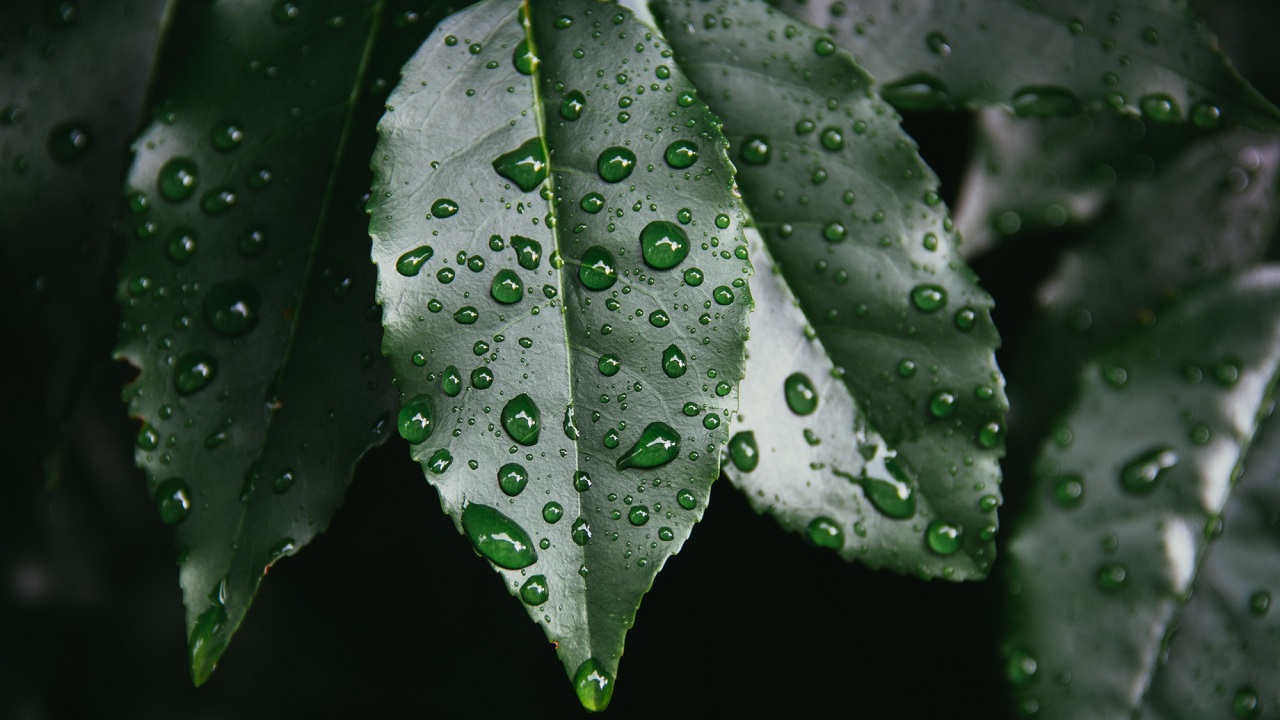 Порывистый ветер и грозы прогнозируют в Челябинской области