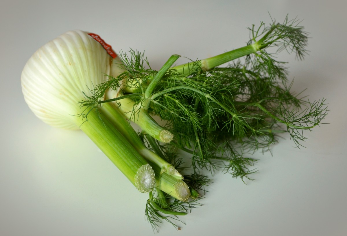 Полезная зелень: прочему нужно есть укроп, петрушку, салат, кинзу и щавель