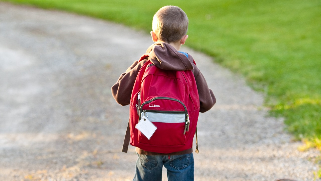 Как выбрать безопасный ранец для школьника, рассказали в Роспотребнадзоре