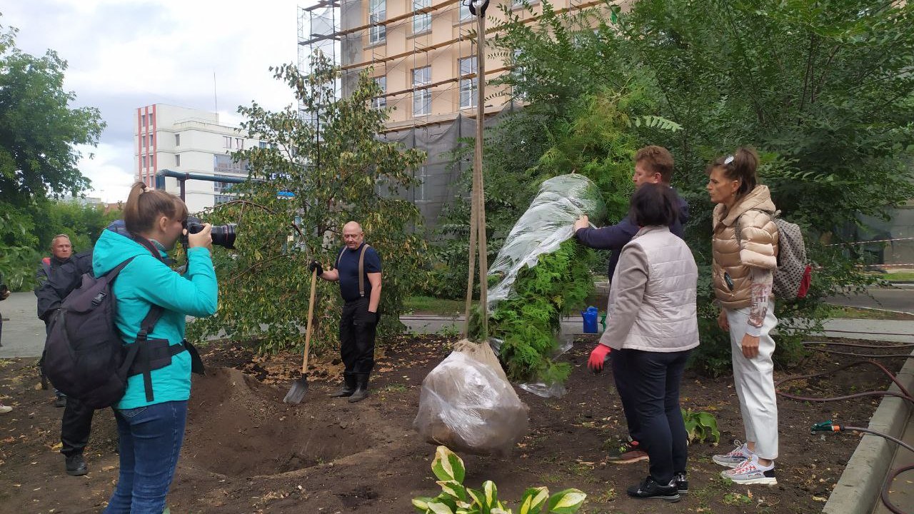 В Челябинске высадят тысячи деревьев и бесплатно заменят погибшие