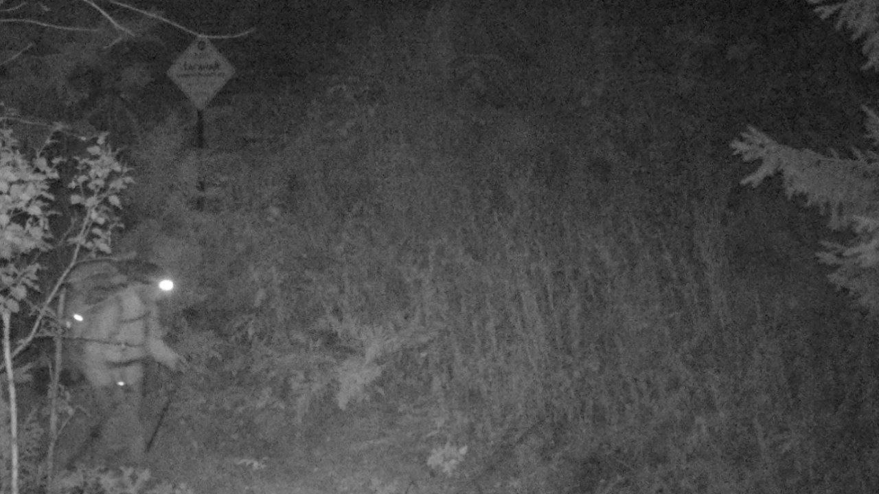 Туристам не советуют гулять ночью по Таганаю из-за медведей