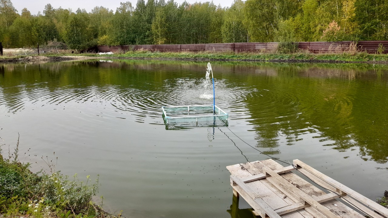 Экскурсии и дегустация царской рыбы: как на Южном Урале агротуризм развивают