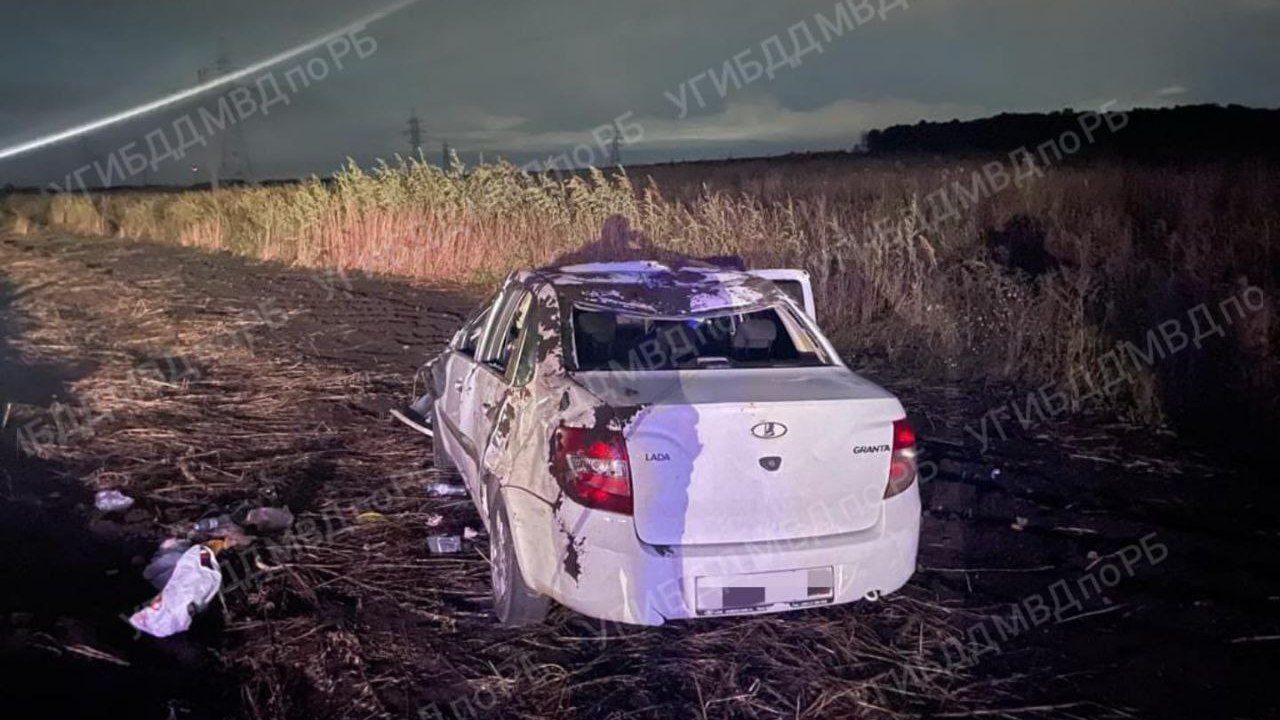 Житель Челябинской области перевернулся в автомобиле, пытаясь объехать лося