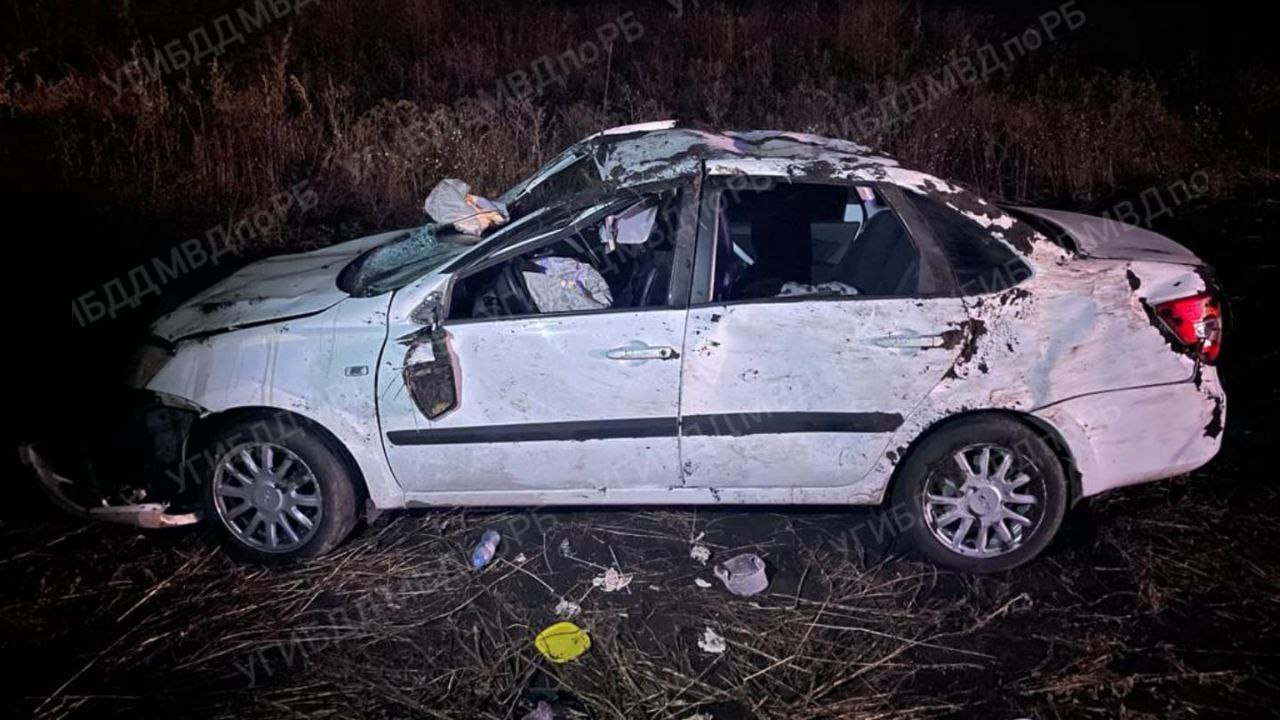 Житель Челябинской области перевернулся в автомобиле, пытаясь объехать лося