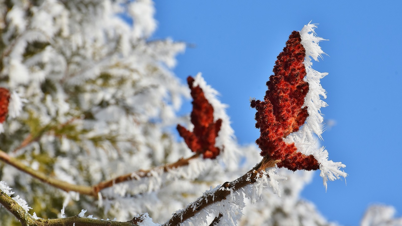 Синоптики рассказали, когда в Челябинске ожидается самый жаркий день осени