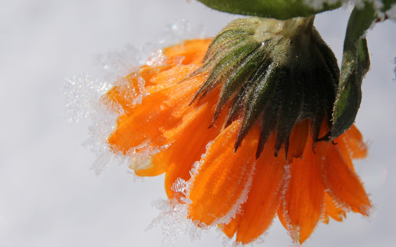 Синоптики рассказали, когда в Челябинске пойдет снег