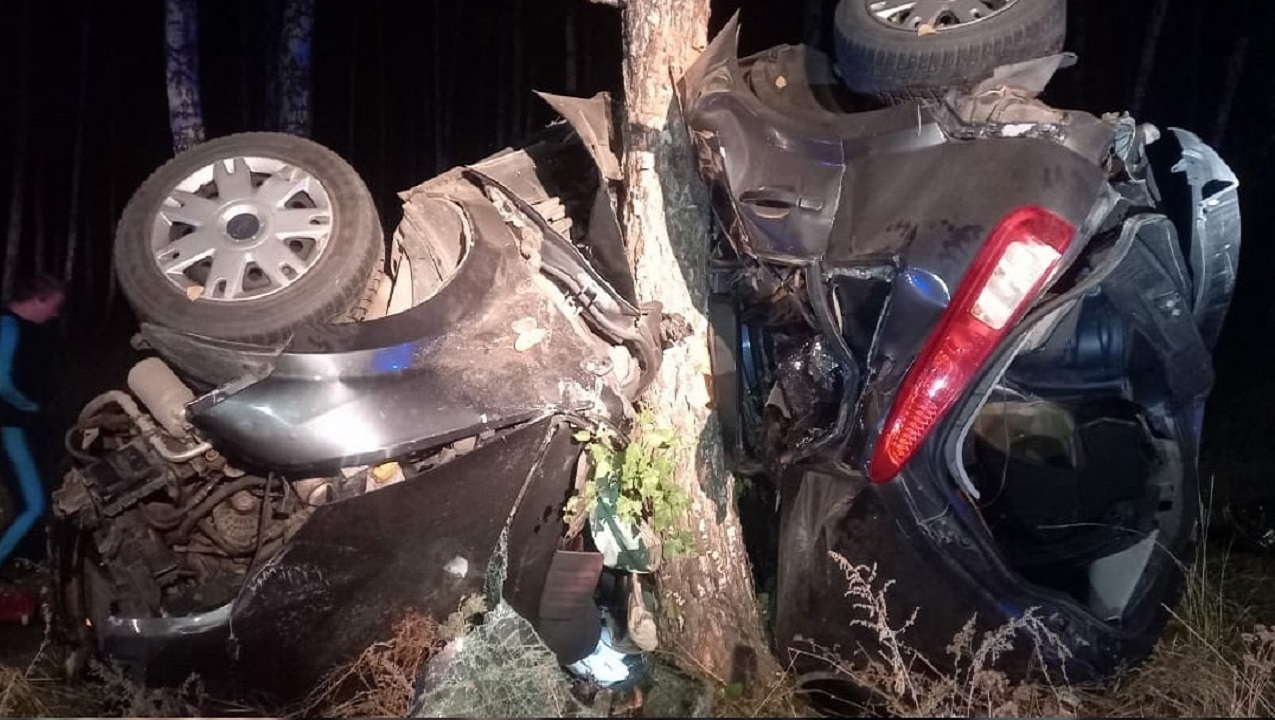 Сложилась пополам: иномарка врезалась в дерево на Южном Урале, водитель погиб