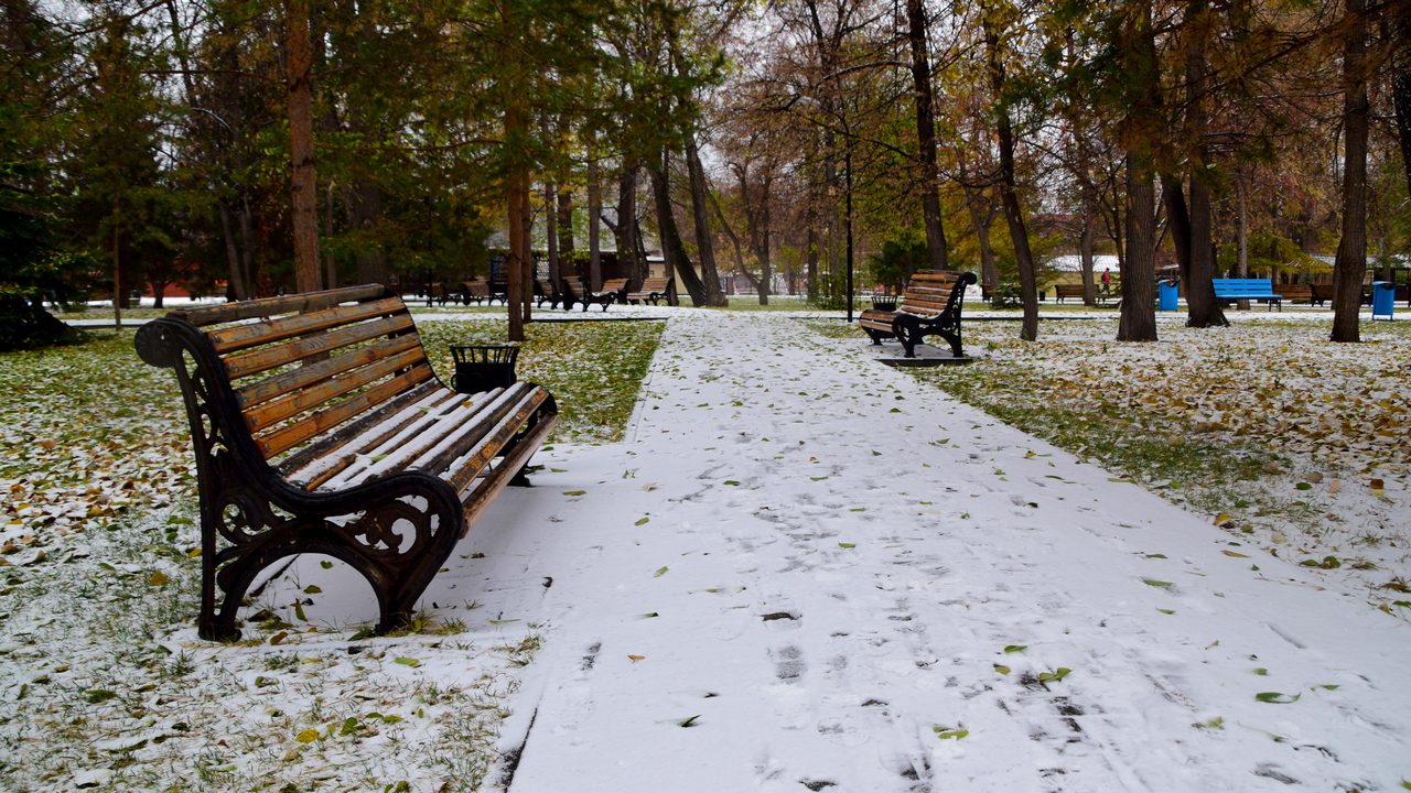 Снегопад и сильный ветер ожидаются в Челябинской области