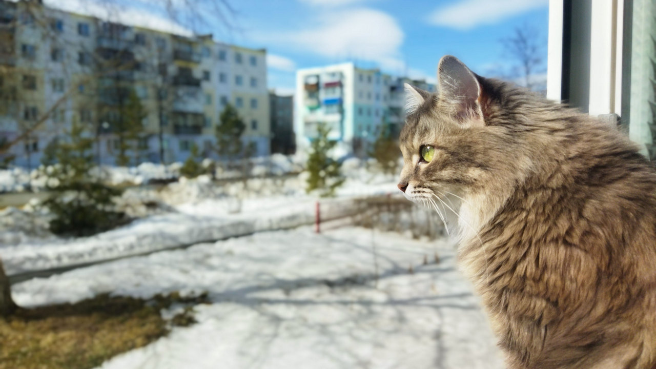 Синоптики рассказали, когда снег вернется в Челябинскую область