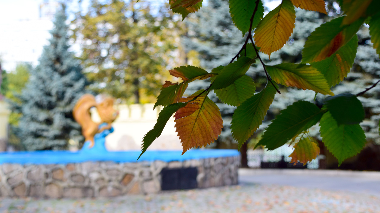 Аномально высокое атмосферное давление зафиксировали в Челябинске Аномально высокое атмосферное давление зафиксировали в Челябинске