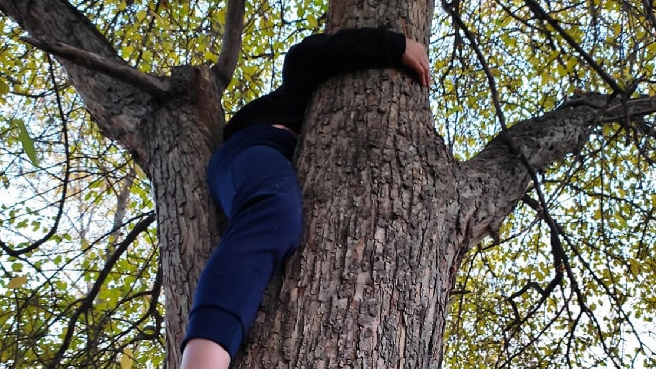 Застрявшего на дереве ребенка спустили на землю спасатели в Челябинской области