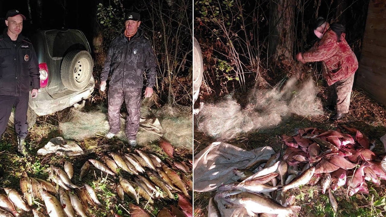 Полные сети рыбы: в Челябинской области задержали браконьеров со 100 кг улова