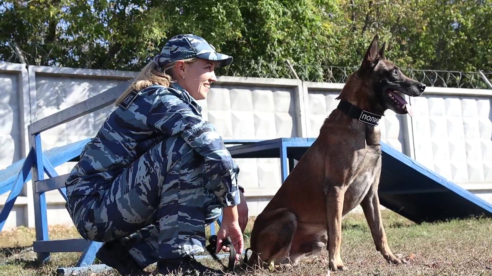 Овчарка из Челябинска выиграла Всероссийский чемпионат среди служебных собак 