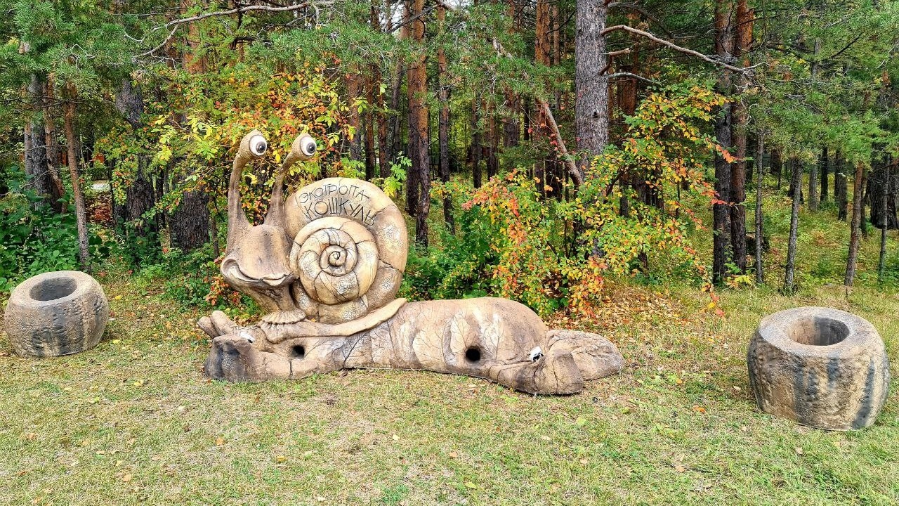 Огромная улитка появилась на туристической тропе в Челябинской области Огромная улитка появилась на туристической тропе в Челябинской области