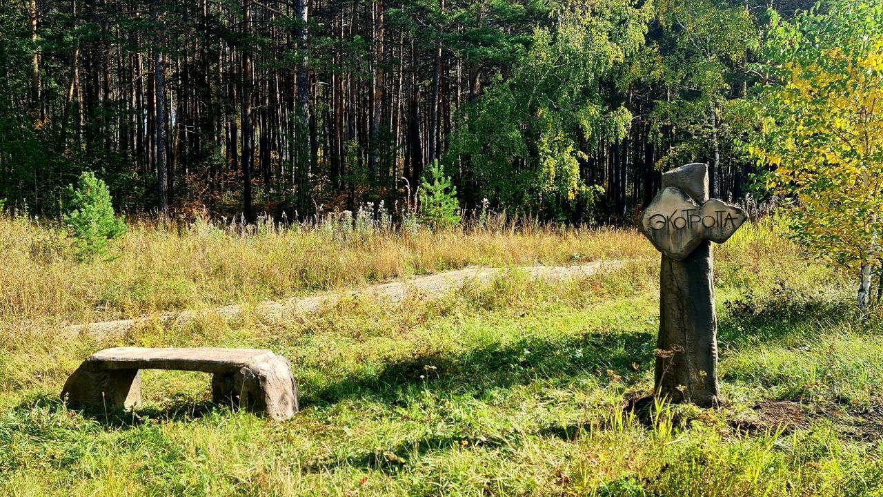 Огромная улитка появилась на туристической тропе в Челябинской области Огромная улитка появилась на туристической тропе в Челябинской области