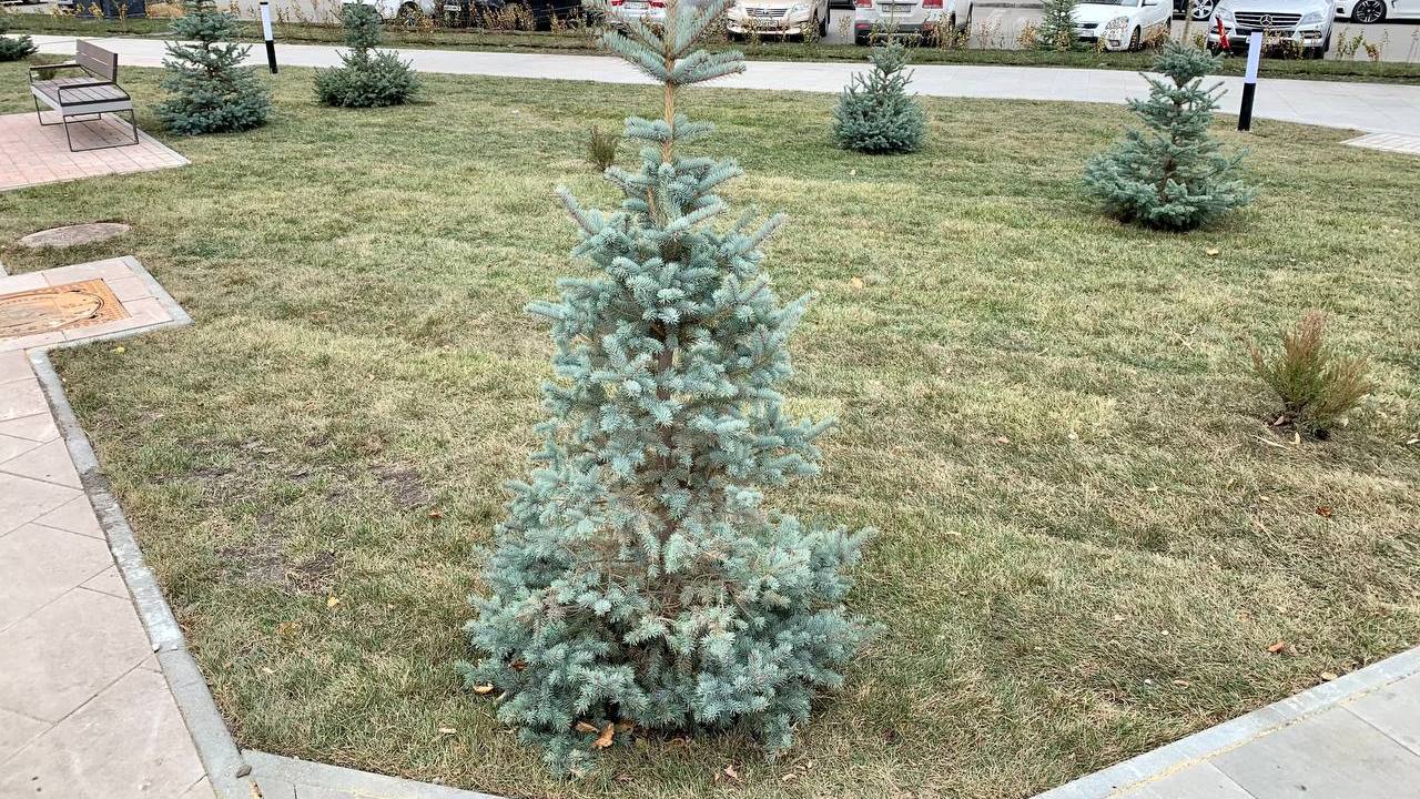 Новая пешеходная улица появилась на северо-западе Челябинска