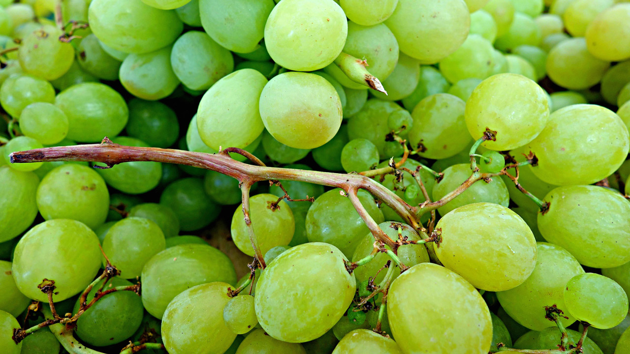 Почти 15 тонн винограда с опасным паразитом ввезли в Челябинскую область