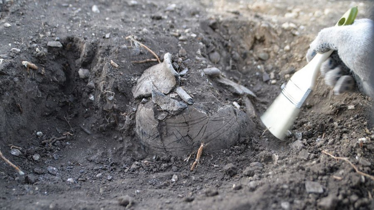 Захоронение древнего кочевника нашли в Челябинской области