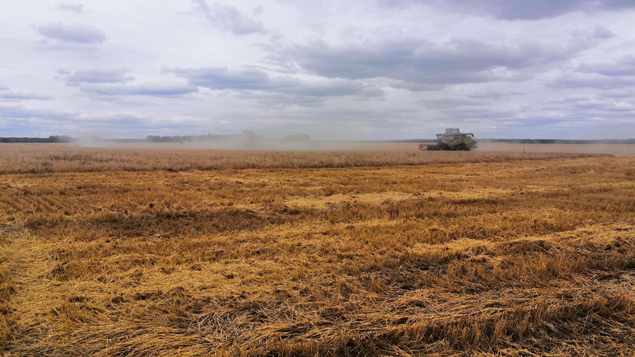 Золотой урожай: аграрии Челябинской области взяли 94 медали престижной выcтавки