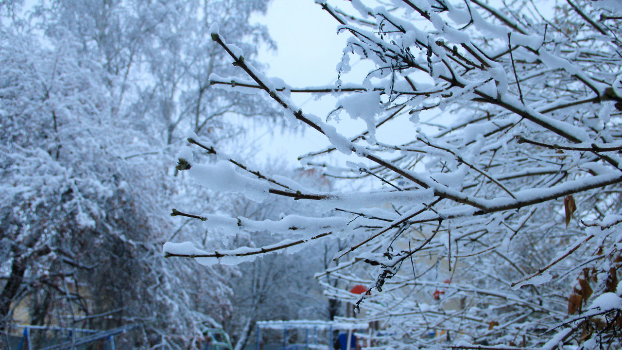 Снег и порывистый ветер прогнозируют в Челябинской области