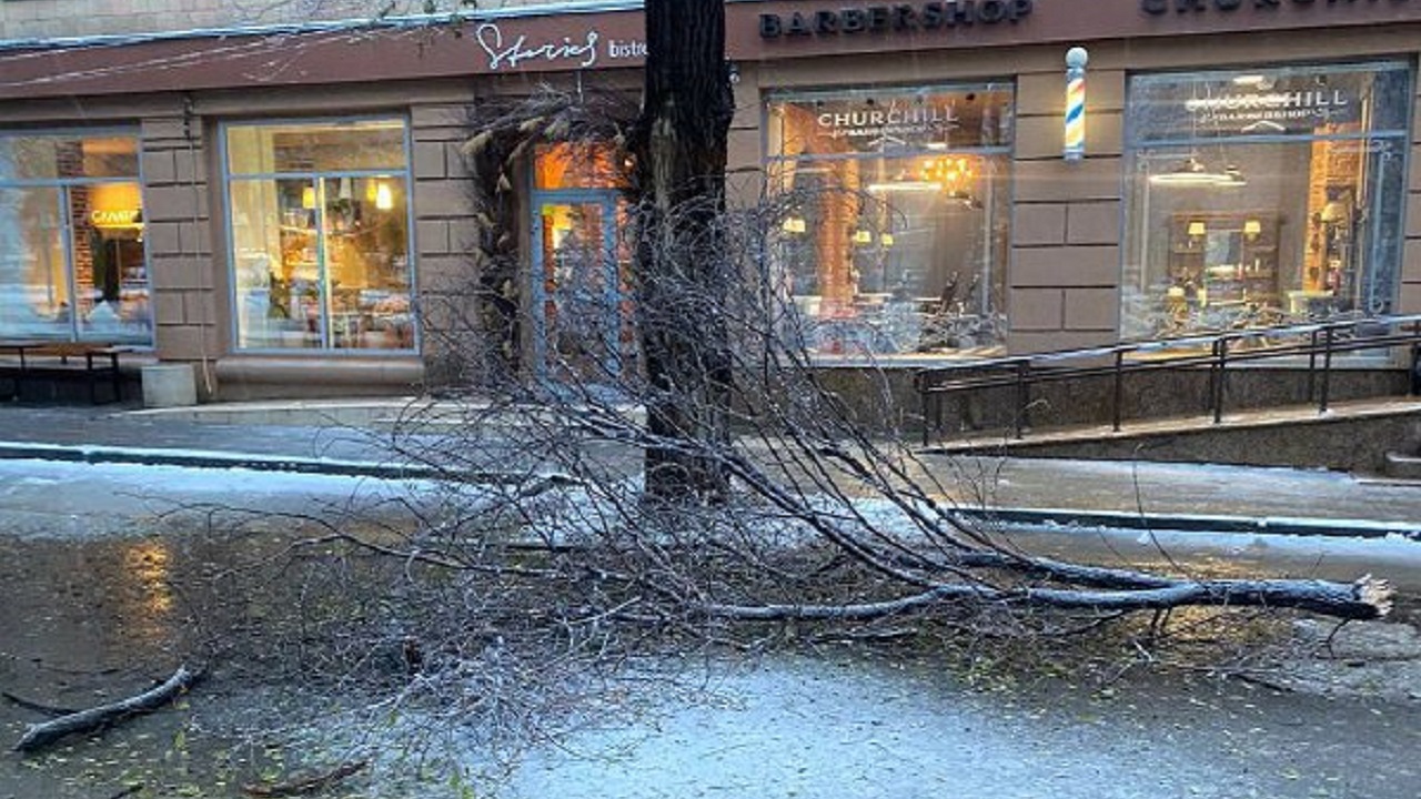 В Челябинске из-за тяжести снега падают деревья
